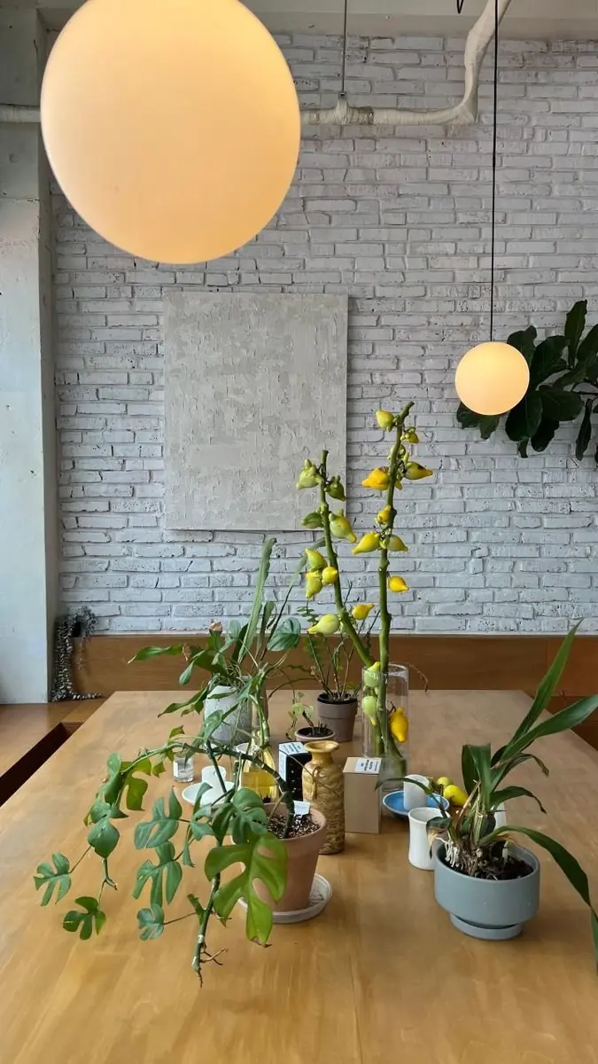 Goof Coffee in Jeonpo